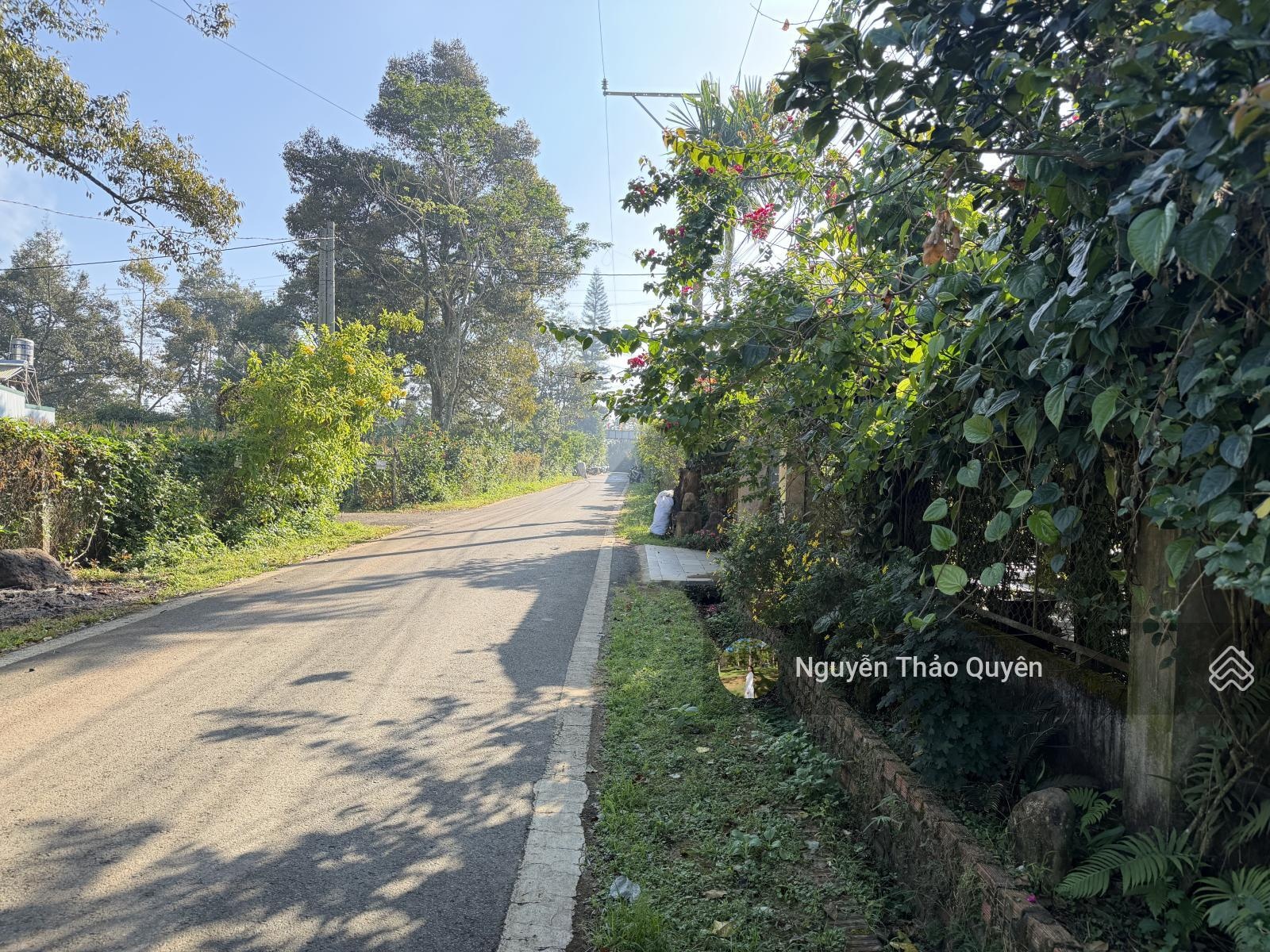 1074m2 đất view núi Đại Bình - Trần Hưng Đạo - Phường Lộc Sơn - TP. Bảo Lộc