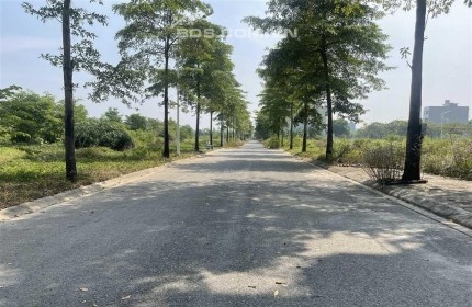 Bán gấp lô đất LK KĐT Thanh Hà 100m2, giá 105 triệu/m2