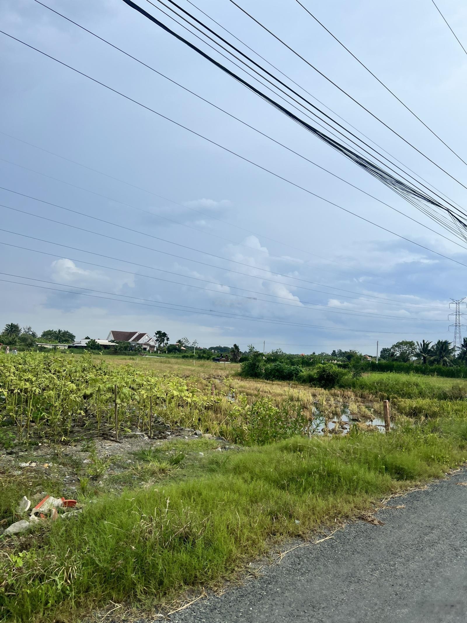 Bán đất tại đường 830, xã Long Sơn, Cần Đước, Long An, 9,5 tỷ, 550 m2, chính chủ, view đẹp