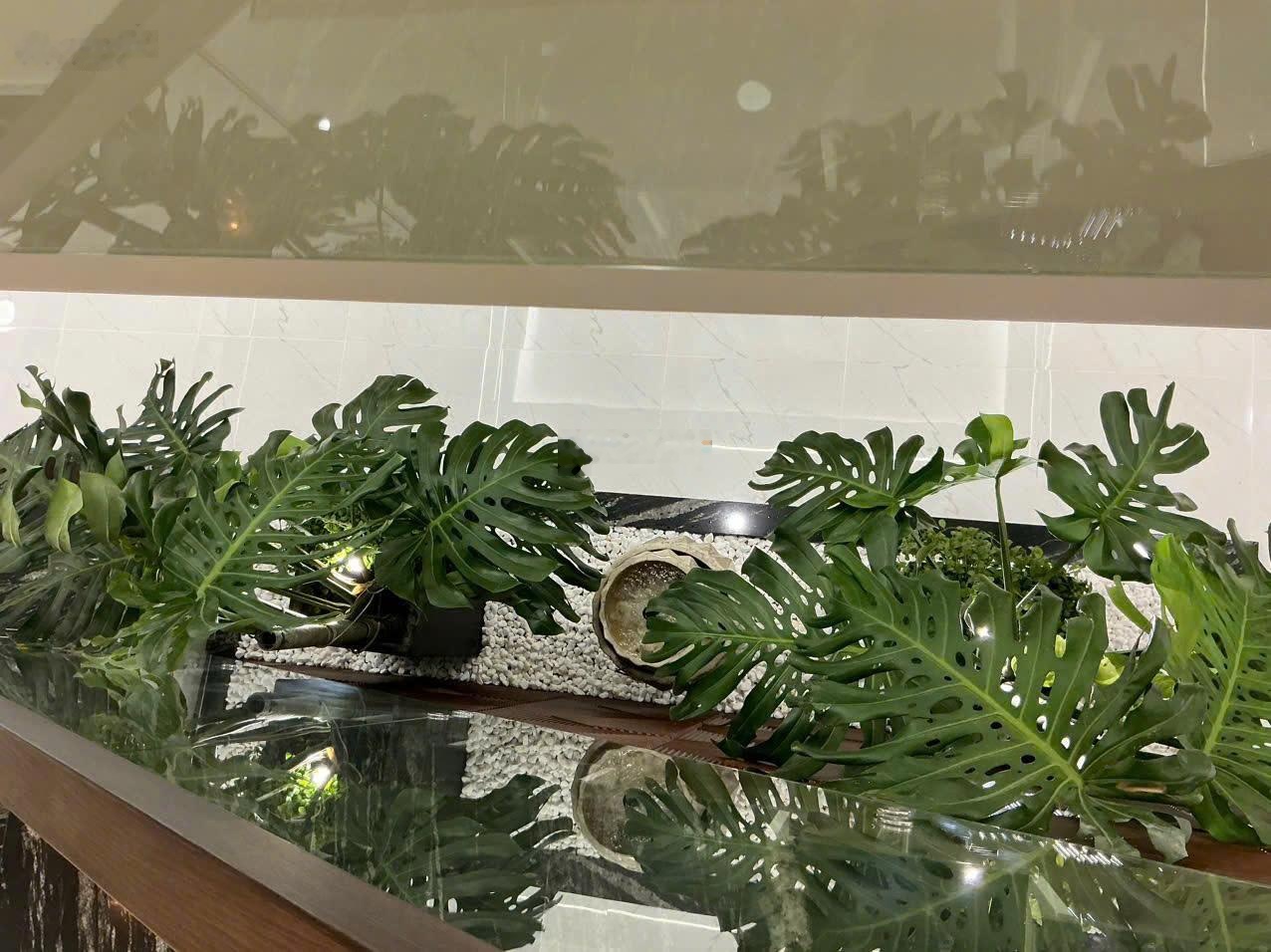 Siêu phẩm shophouse đường chính Lavida Vũng Tàu vị trí vàng, kinh doanh đắc địa, ở thì sang