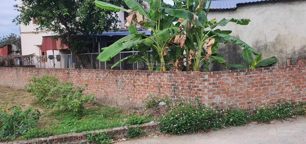 Hoa khôi Sơn Đông-Tân Minh_Sóc Sơn ô tô tránh giá cực đẹp 95m.LH 0976677492