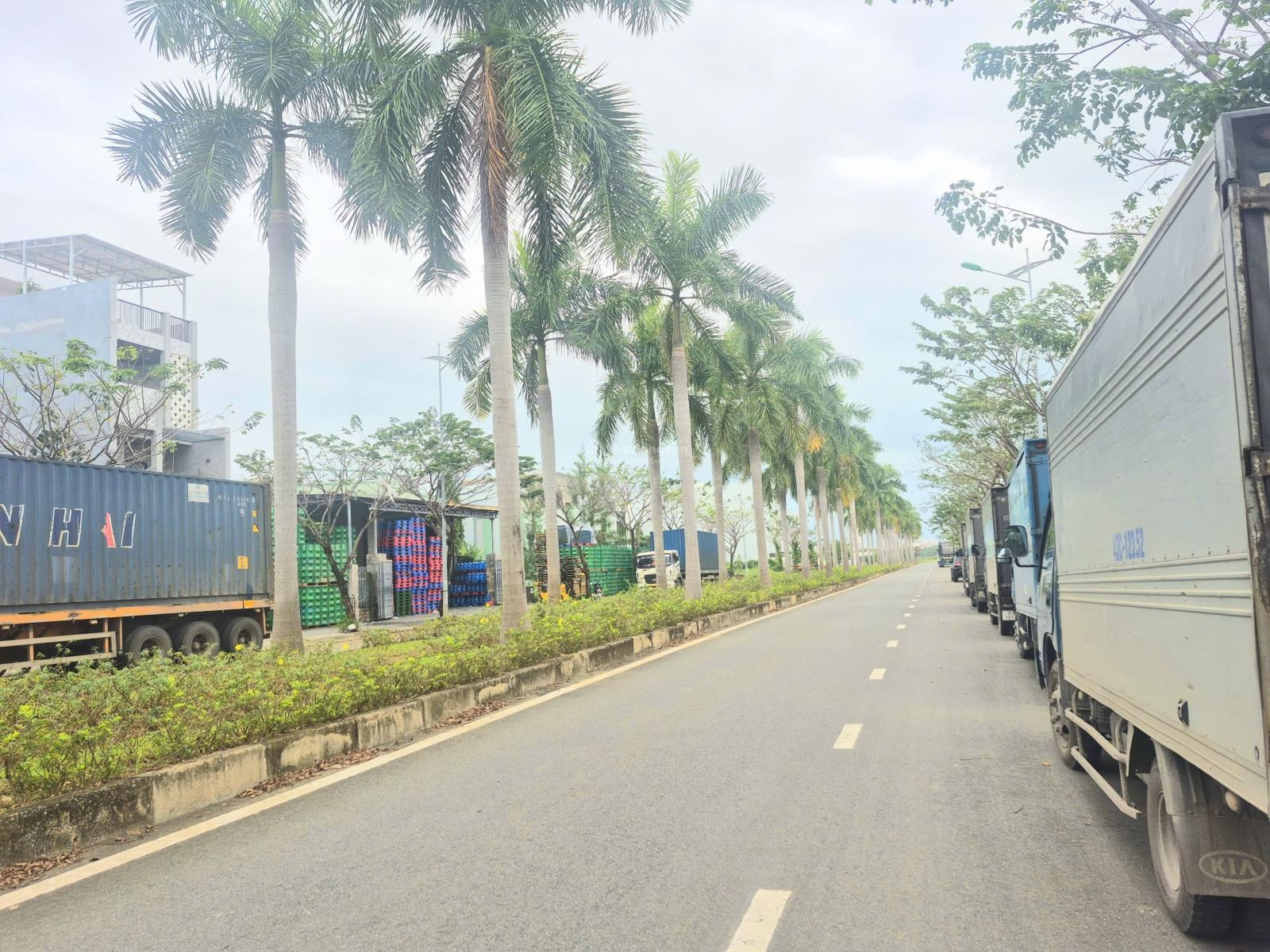 Bán lô đất đường 29/3 ( hàng dừa ), hướng đông nam, vị trí rất tiềm năng trong tương lai