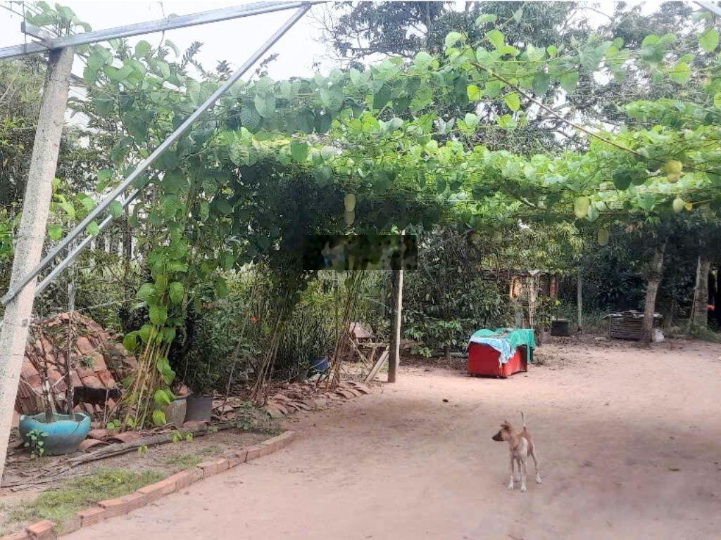 Bán đất 600m2 giá chỉ 4,5 tỷ tại Đường 501, Nhuận Đức, Củ Chi, Hồ Chí Minh