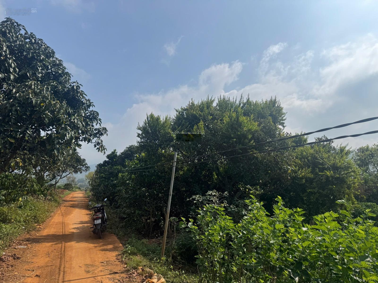 Chính chủ cần bán nhanh lô đất tiềm năng đầu tư sinh lời huyện Lâm Hà, Lâm Đồng