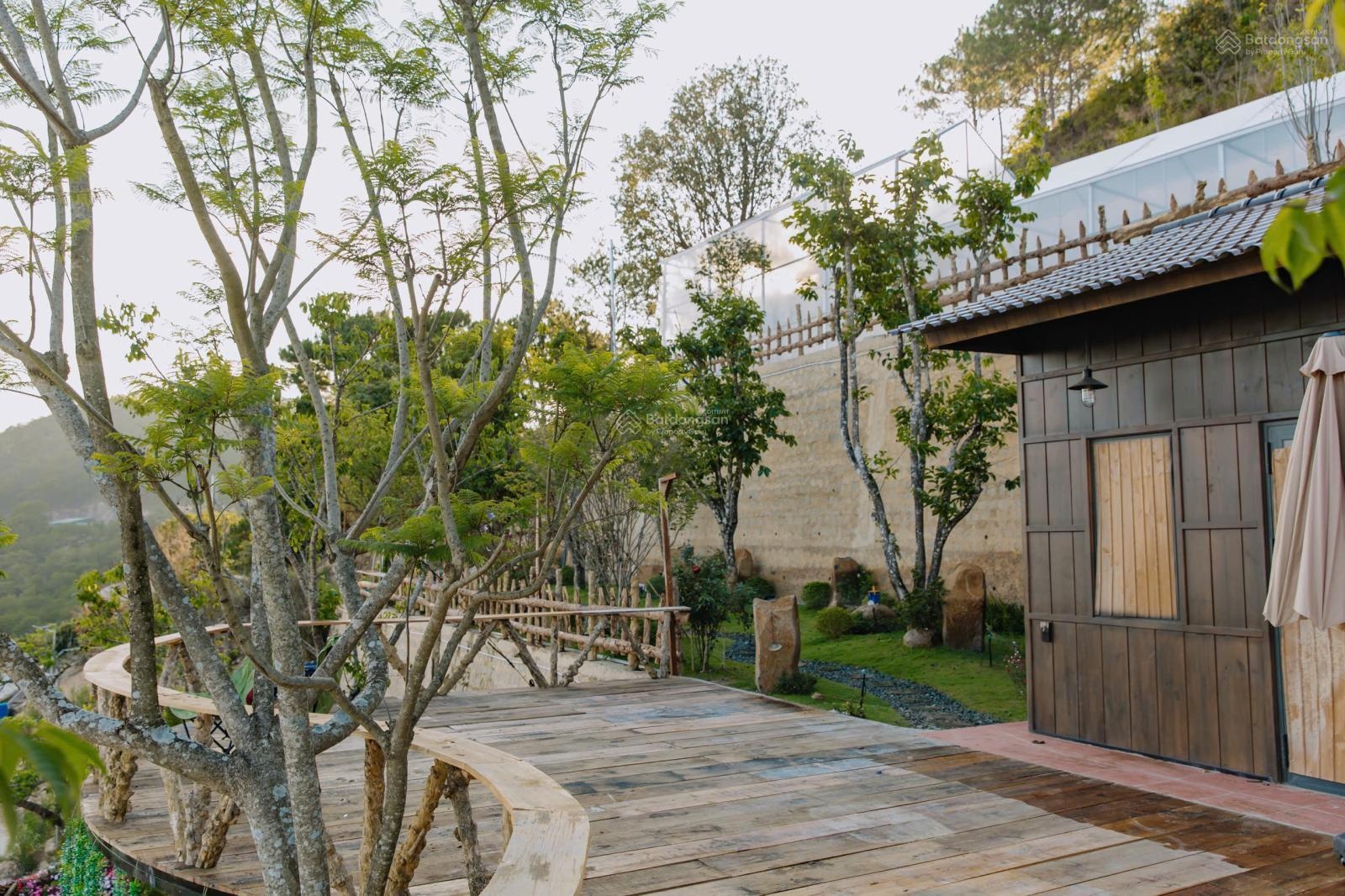 Cho thuê mặt bằng kinh doanh P11, Đà Lạt, Lâm Đồng