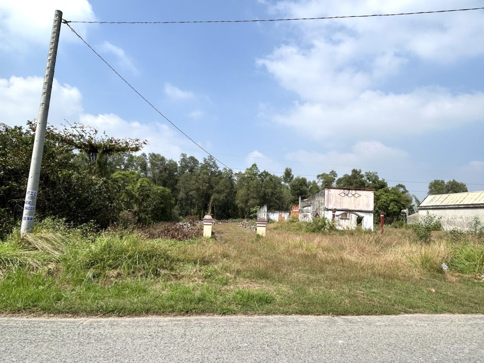 Đất vườn 50x68m mặt tiền đường vào KDL sinh thái Bò Cạp Vàng - Nhơn Trạch - Đồng Nai