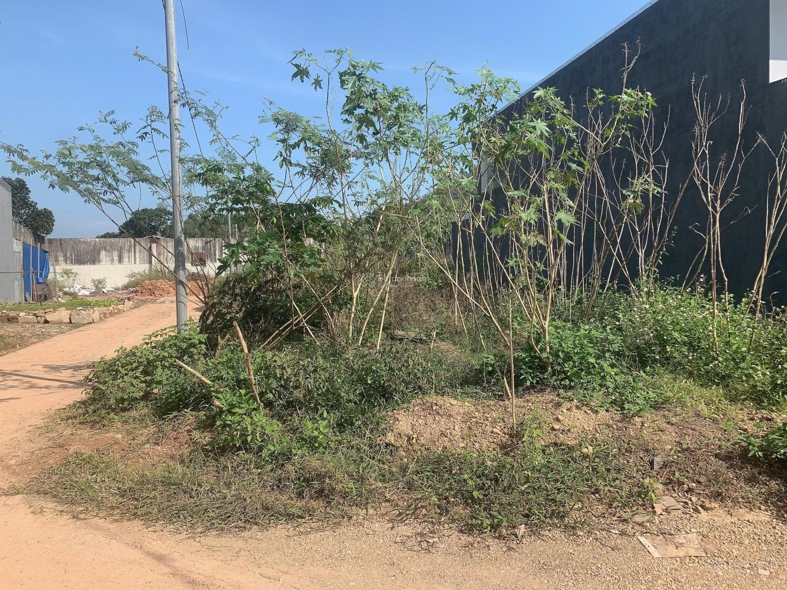 Lô góc mặt tiền cực hiếm - Giá chưa tới 2 tỷ - Vị trí trung tâm Đà Nẵng - Gần chợ, trường học