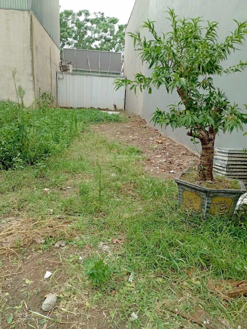 Bán đất đẹp phân lô, gần mặt đường lớn, 80m2, Quang Trung, ô tô, Hà Đông, 9,78 tỷ