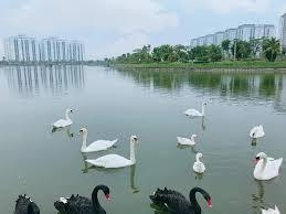 Chủ gửi bán lô đất b1.3 giá 15 tỷ đường 25m