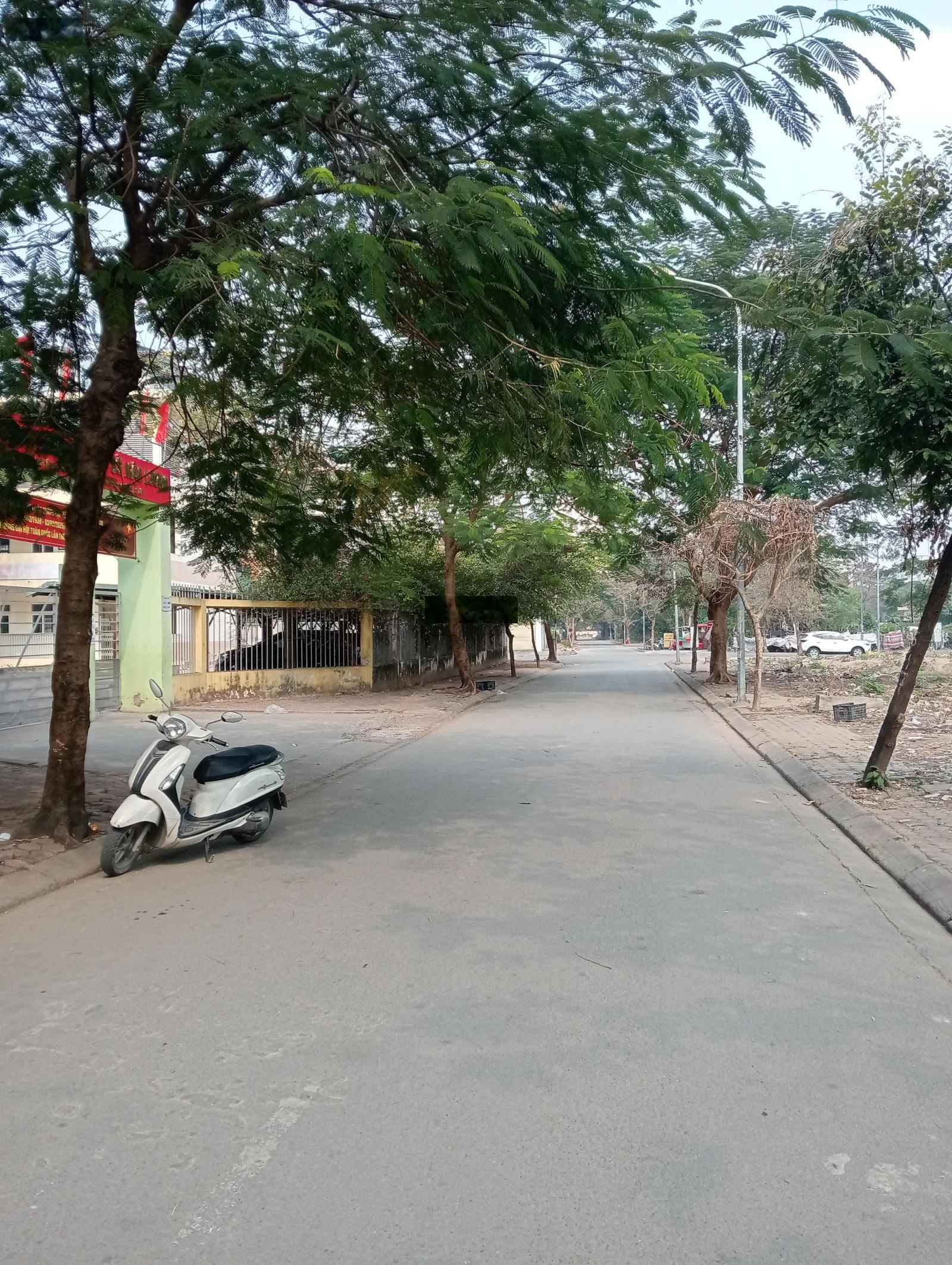 Bán 50m Đất Đấu Giá Kiến Hưng, Hà Đông - Mặt tiền 4.8m - Vị trí kinh doanh sầm uất - Chỉ 13,x tỷ