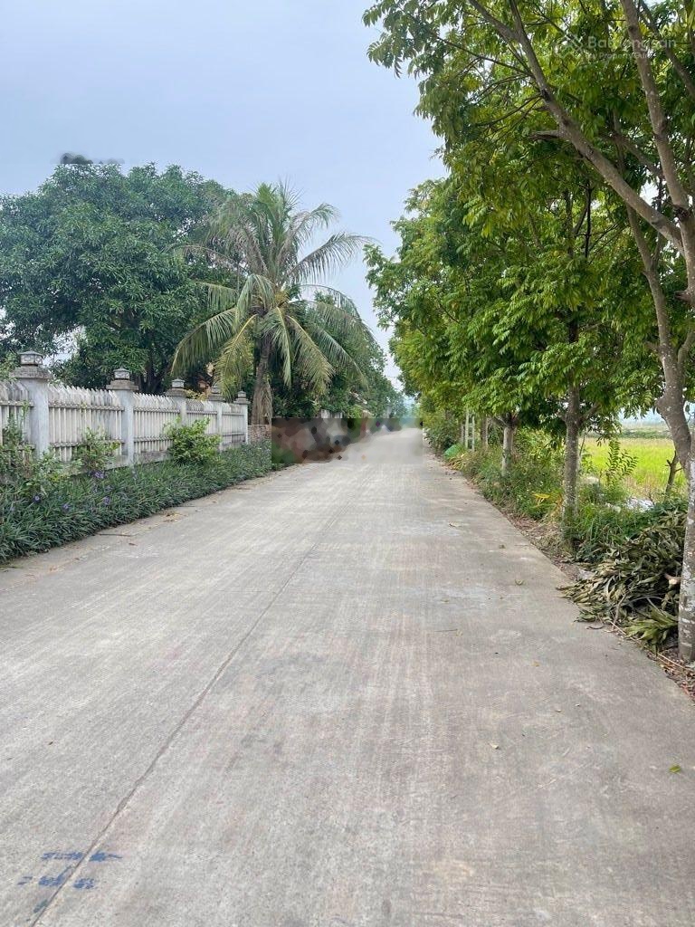 Bán Đất tại Xã Quang Tiến, 4,35 tỷ, 105m2, mặt tiền 5,3m, giá siêu hời