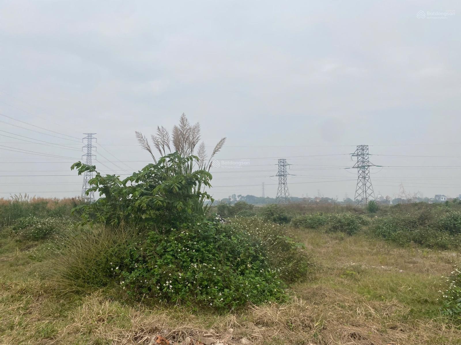 Hot CẦN CHUYỂN NHƯỢNG LÔ ĐẤT tại Thành phố Nam Định - tỉnh Nam Định - Dt: 47000m2