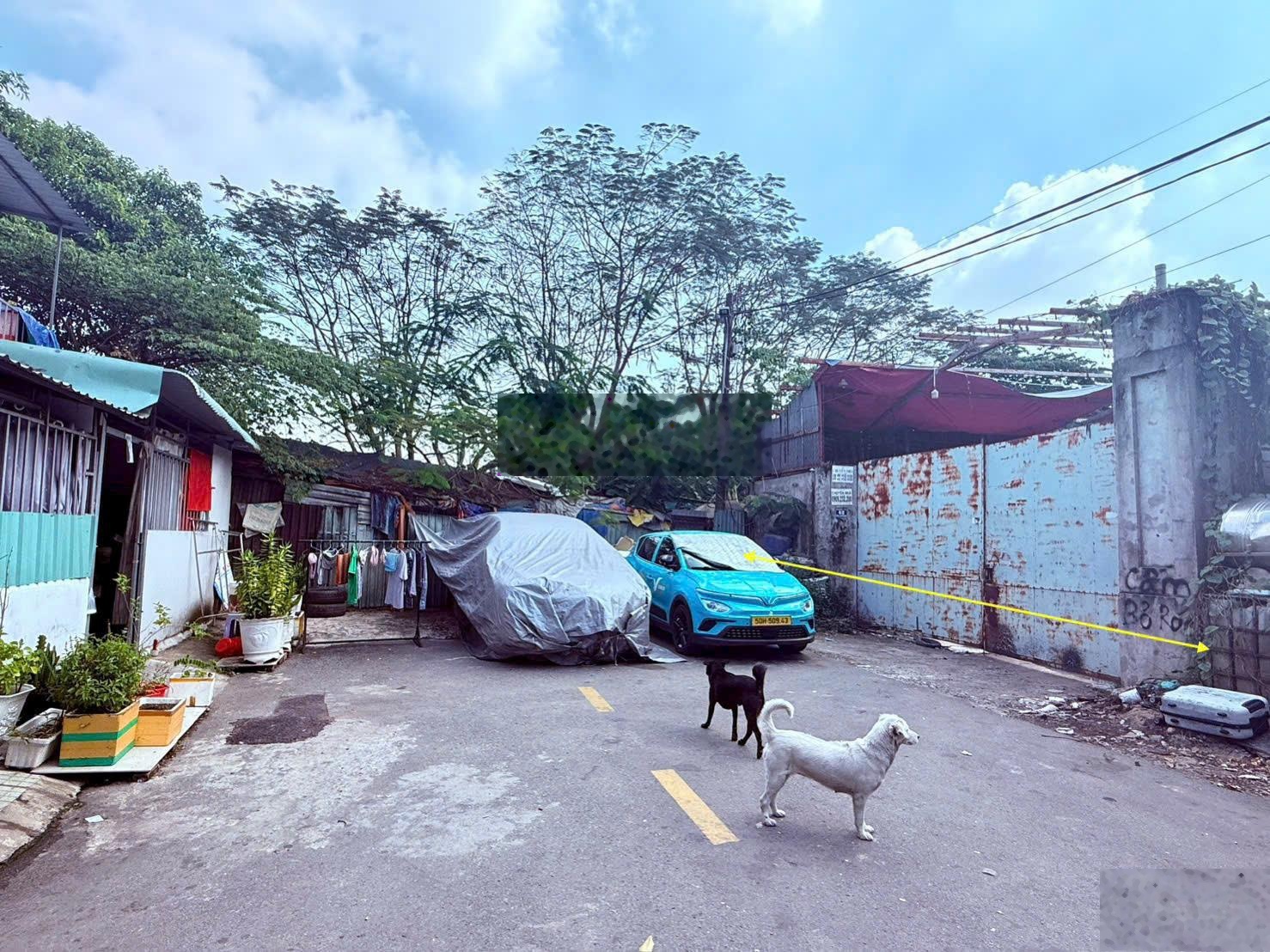 Bán đất mặt tiền Hoàng Hữu Nam, Quận 9, đường số 5, 646m2, full thổ cư - giá tốt