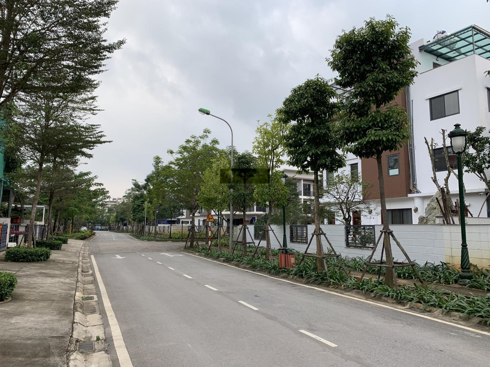 Chính chủ cần bán căn LK tiêu chuẩn thô nguyên bản CĐT, giá bán 35.5 tỷ