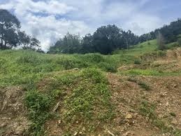 Đất nền Lộc An, sổ riêng, đường ô tô