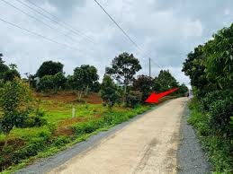 Bán đất Tân Văn khu vực phát triển, tiềm năng cao