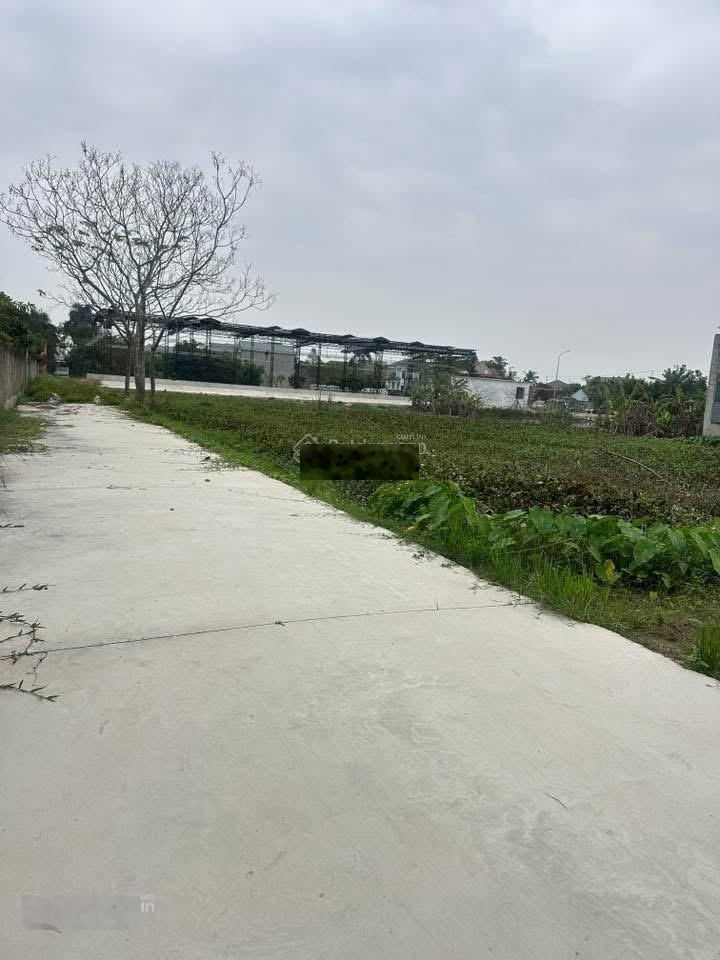 Cần ra nhanh 750m2 mbqh49 thị trấn tân phong quảng xương