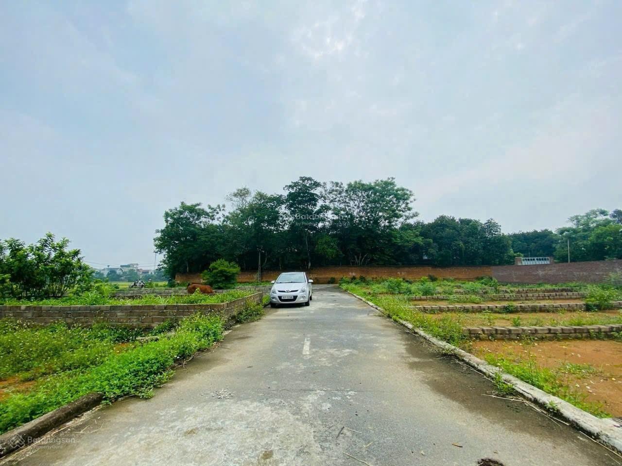 Cắt lỗ lô đất Hoà Lạc - ngay FPT, DH Quốc Gia - 66m trong khu dân cư- 2.35 tỷ