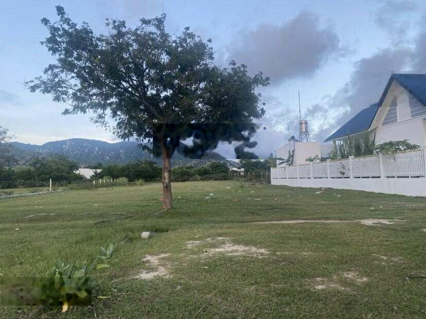 Chính chủ cần bán đất nông nghiệp 1994m2, ngay sảnh cưới Hạnh Nữ, Nhơn Hải. Giá 2 tỷ thương lượng