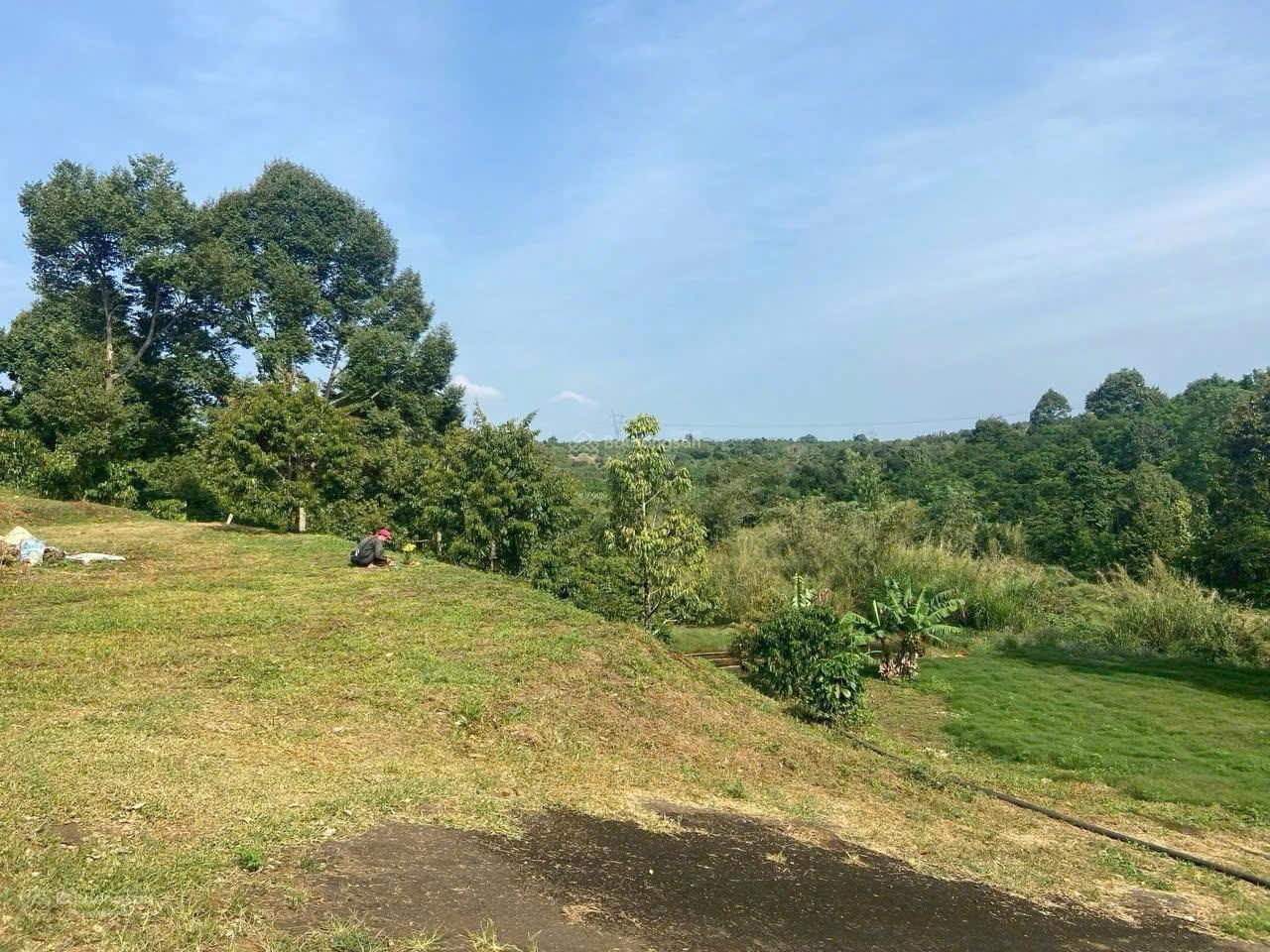 Hàng hiếm Lộc An 2 lô 2 mặt tiền sát QL20 200m, vị trí đẹp khó tìm - giá tổng 1.130 tỷ