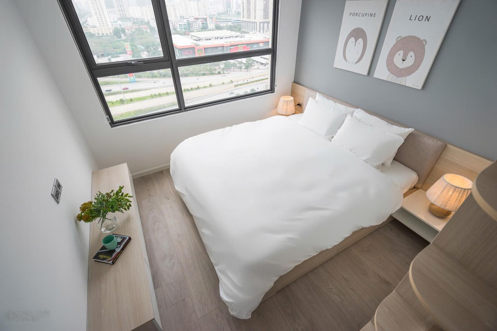 HOT HOT! Cho thuê gấp CHCC 2PN, 1WC, 55m2 tại Vinhomes D'Capitale,Trần Duy Hưng chỉ 16 triệu VND