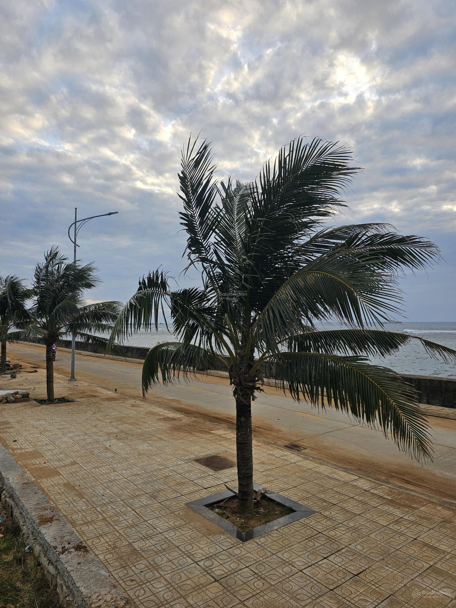 View biển BHK quy hoạch thổ cư đặc khu Lý Sơn