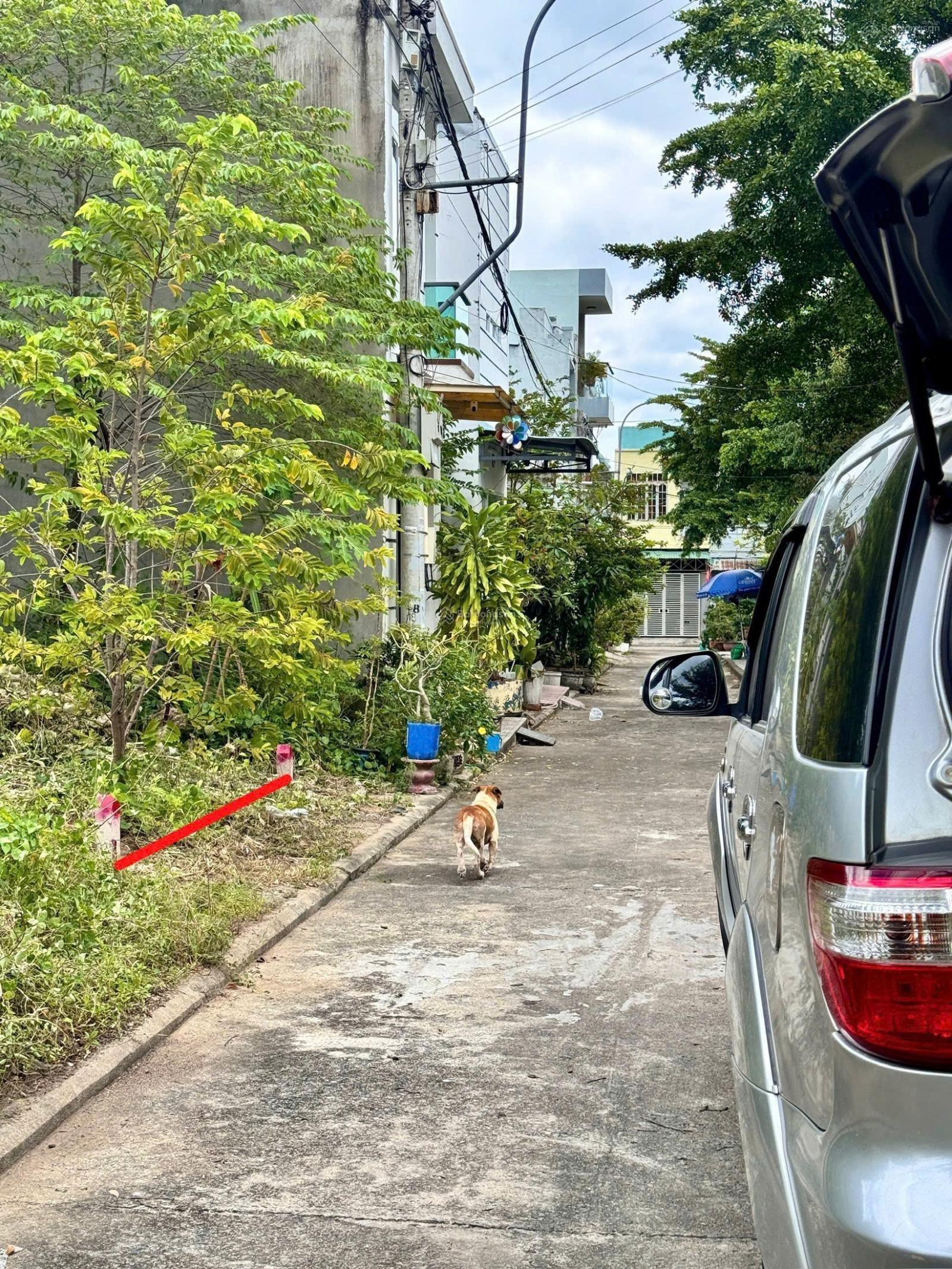 Tái định cư Đất Lành _ đối diện công viên ( đi ra Đường Phong Châu : 120m ) Giá: 2,99 tỷ