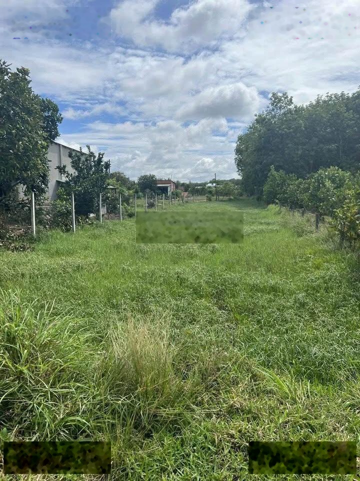 Ngay trung tâm Củ Chi TP. HCM. DT 1160m2 giá 1tỷ250tr sổ hồng riêng, pháp lý rõ ràng minh bạch