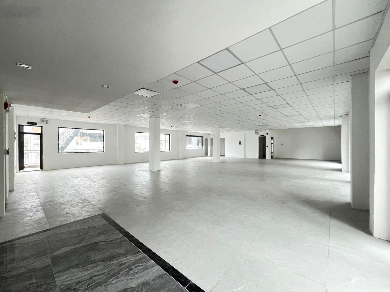 Cho Thuê Tòa Nhà Đường Trương Công Định, Phường 14. DT: 15x16m. Hầm - 6 Tầng. Sàn Trống Suốt. PCCC