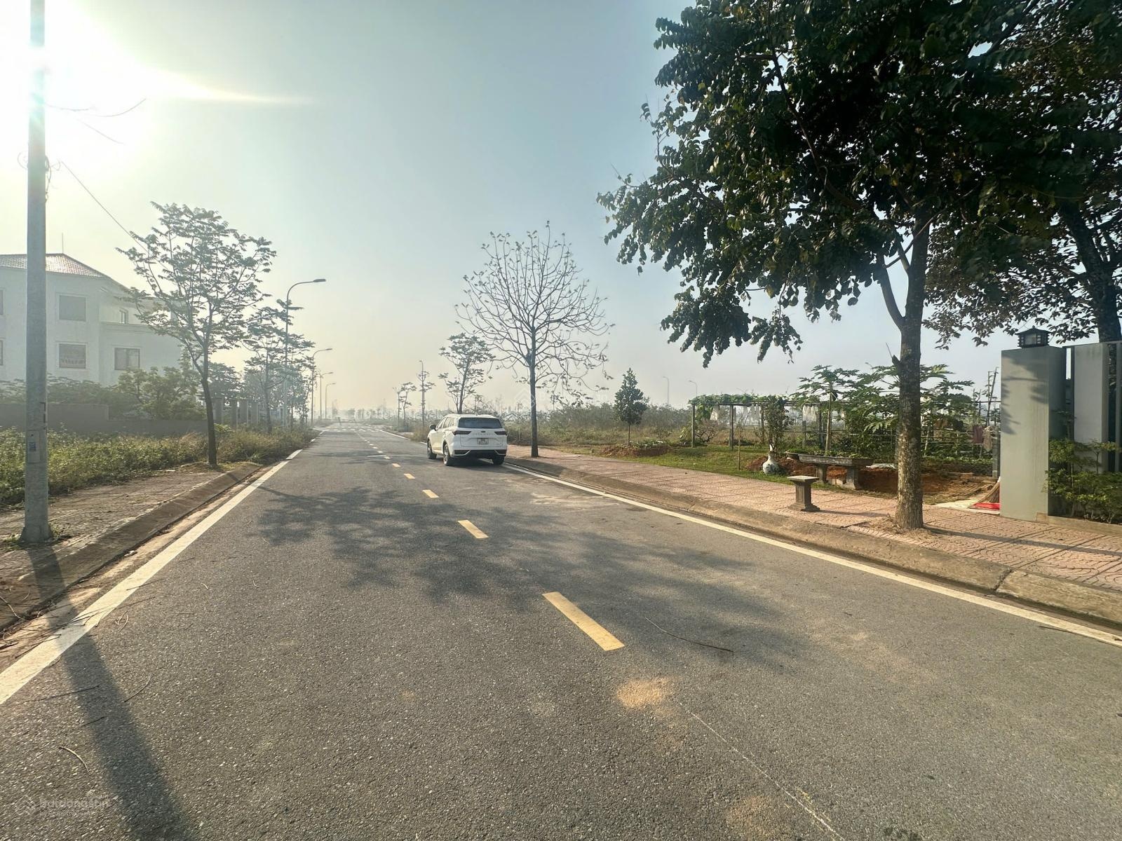 Chính chủ bán gấp lô đất BT đẹp KĐT Nam Vĩnh Yên, Khai Quang DT 300m2 MT 11,75m sẵn sổ 30,5tr/m2