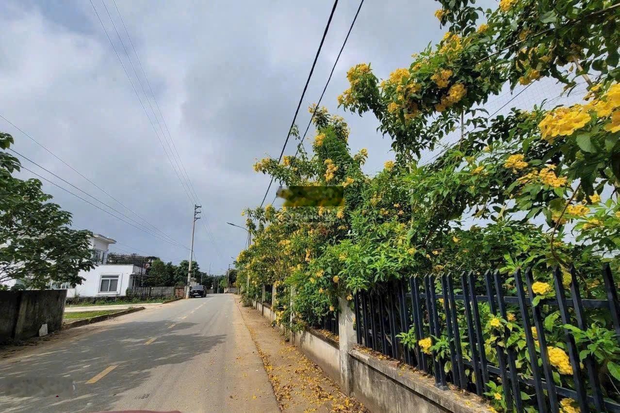 Bán đất tại Đường 21A, Hà Nội, giá siêu hời 18 triệu/m2, 100m2