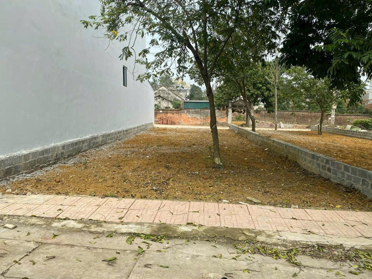 Chính chủ gửi bán diện tích 160m², hai mặt tiền, đường thông, Vị trí đặc địa sầm uất