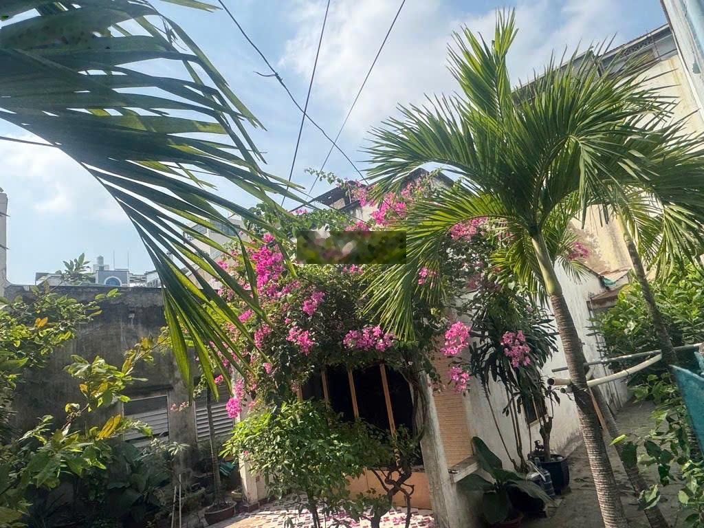 Đất lớn hiếm có khó tìm tặng nhà Thống Nhất Gò Vấp 220m2 hẻm xe hơi full thổ tiện xây 4 tấm 16.5 tỷ