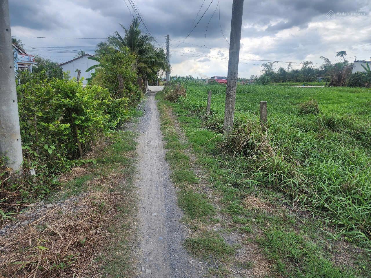 ĐẤT CHÍNH CHỦ - GIÁ TỐT Tại Ấp Bình Đông, Xã Bình Trinh Đông - Tân Trụ, Long An