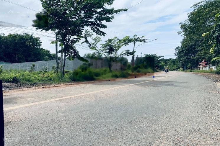 mặt tiền đường nhựa ĐH609, Phú An, Bến Cát, Bình Dương cũ, tp HCM mới