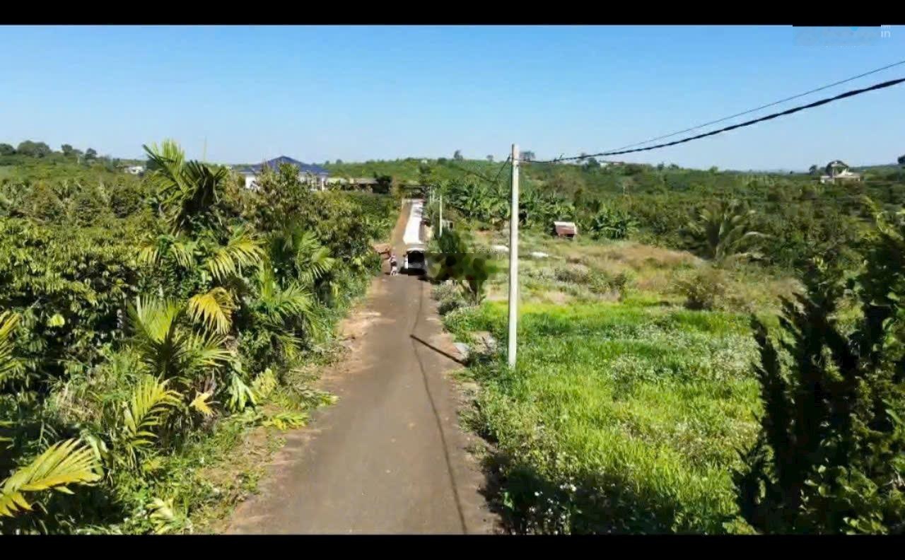 Cần xoay vốn bán gấp Xã Hoà Ninh, Di Linh, Lâm Đồng, 1,25 tỷ