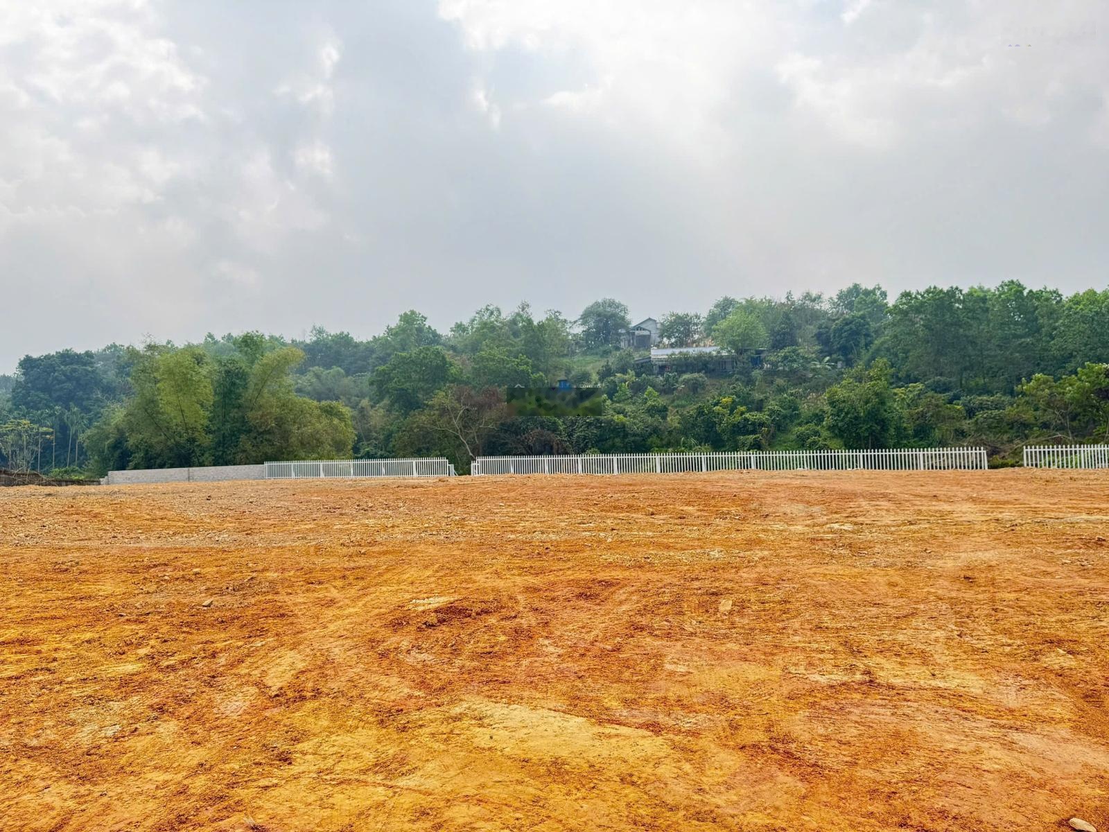 Cần chuyển nhượng 3199m2 đất giáp dự án Legacy Hill Cư Yên ,Lương Sơn, Hoà BÌnh