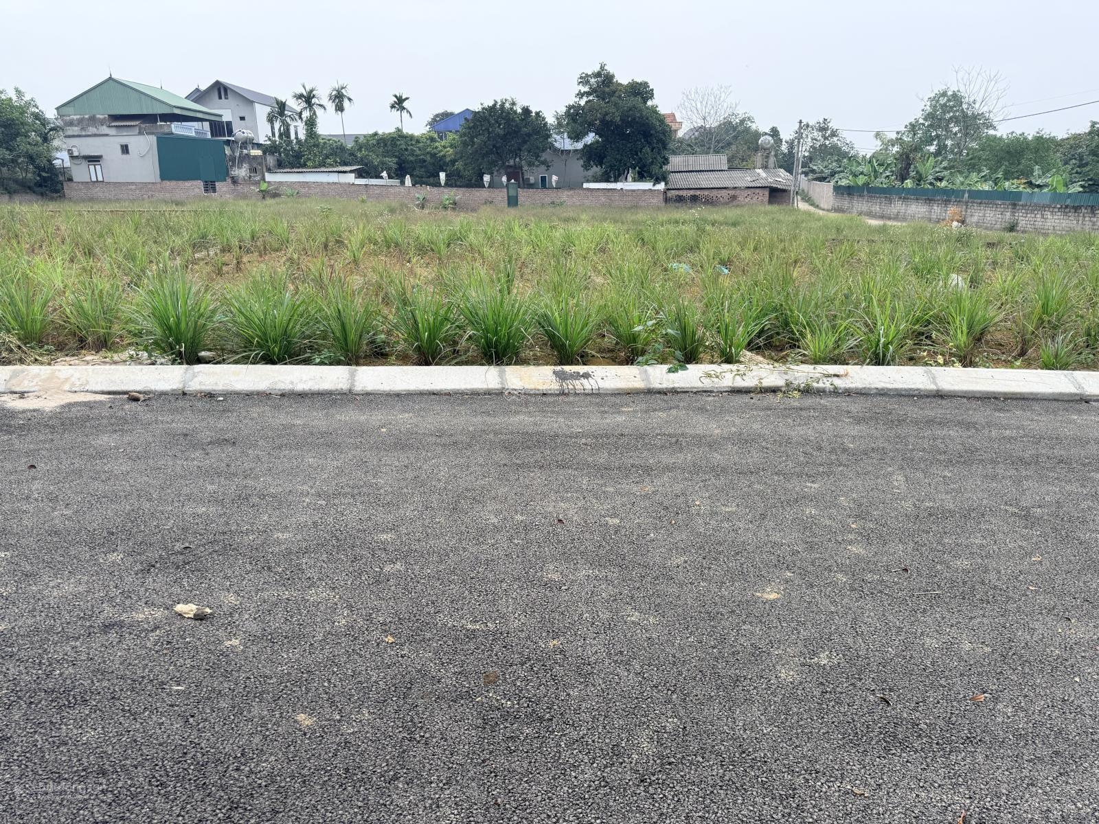 Chỉ 1,8 tỷ sở hữu ngay lô đất đẹp hoà trúc phú cát, hà nội diện tích: 100 m full t