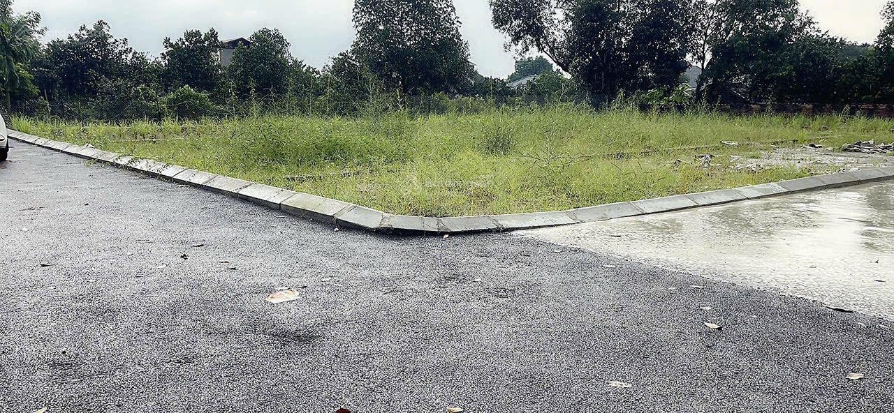 Bán đất tại DH09, Phú Cát, Quốc Oai, Hà Nội, 3,6 tỷ, 113m2