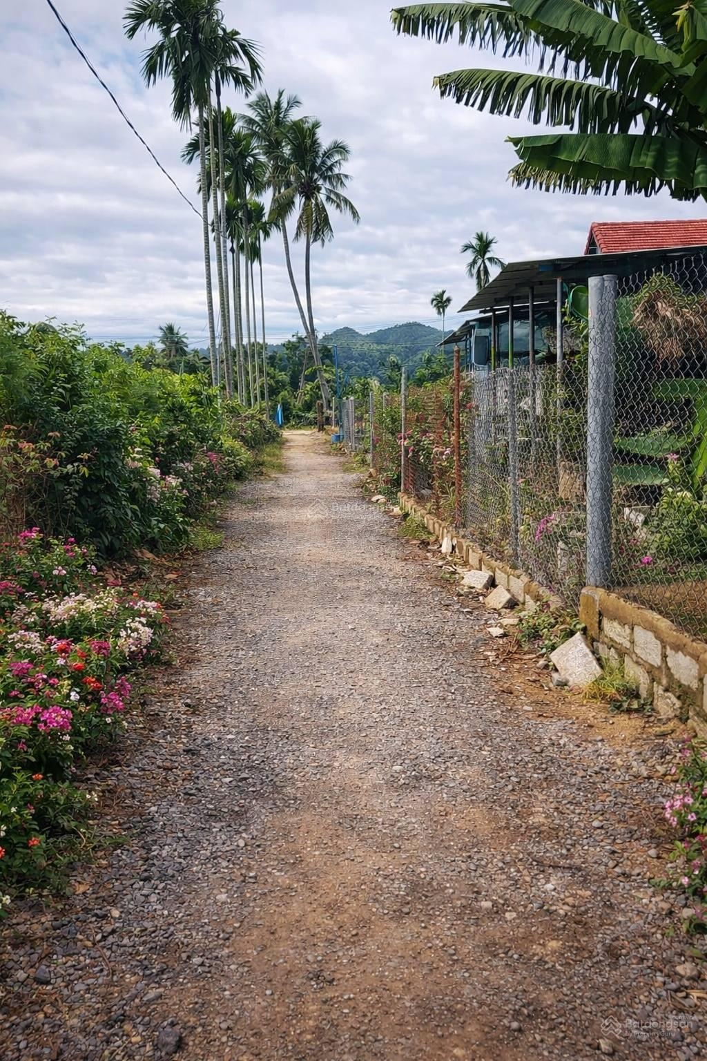 Bán đất tại Xã Diên Điền, Diên Khánh, Khánh Hòa giá siêu hời 5 triệu, 846m2 bao đẹp