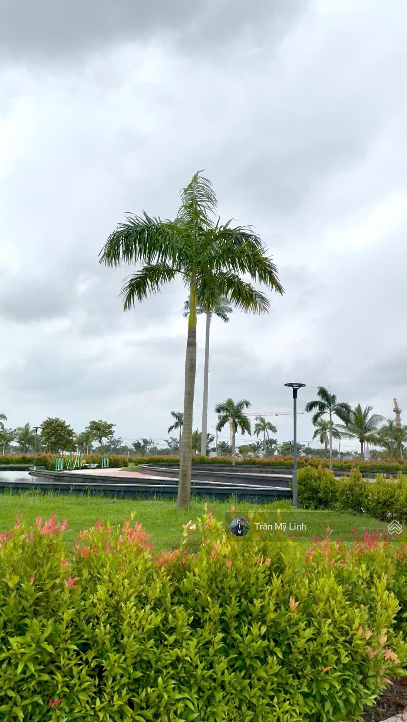 Chính chủ bán lại gía rẻ lô Bờ Quan 3 - diện tích 125m2 Lh0905956613 Chỉ 6.x tỷ LH 0905956613