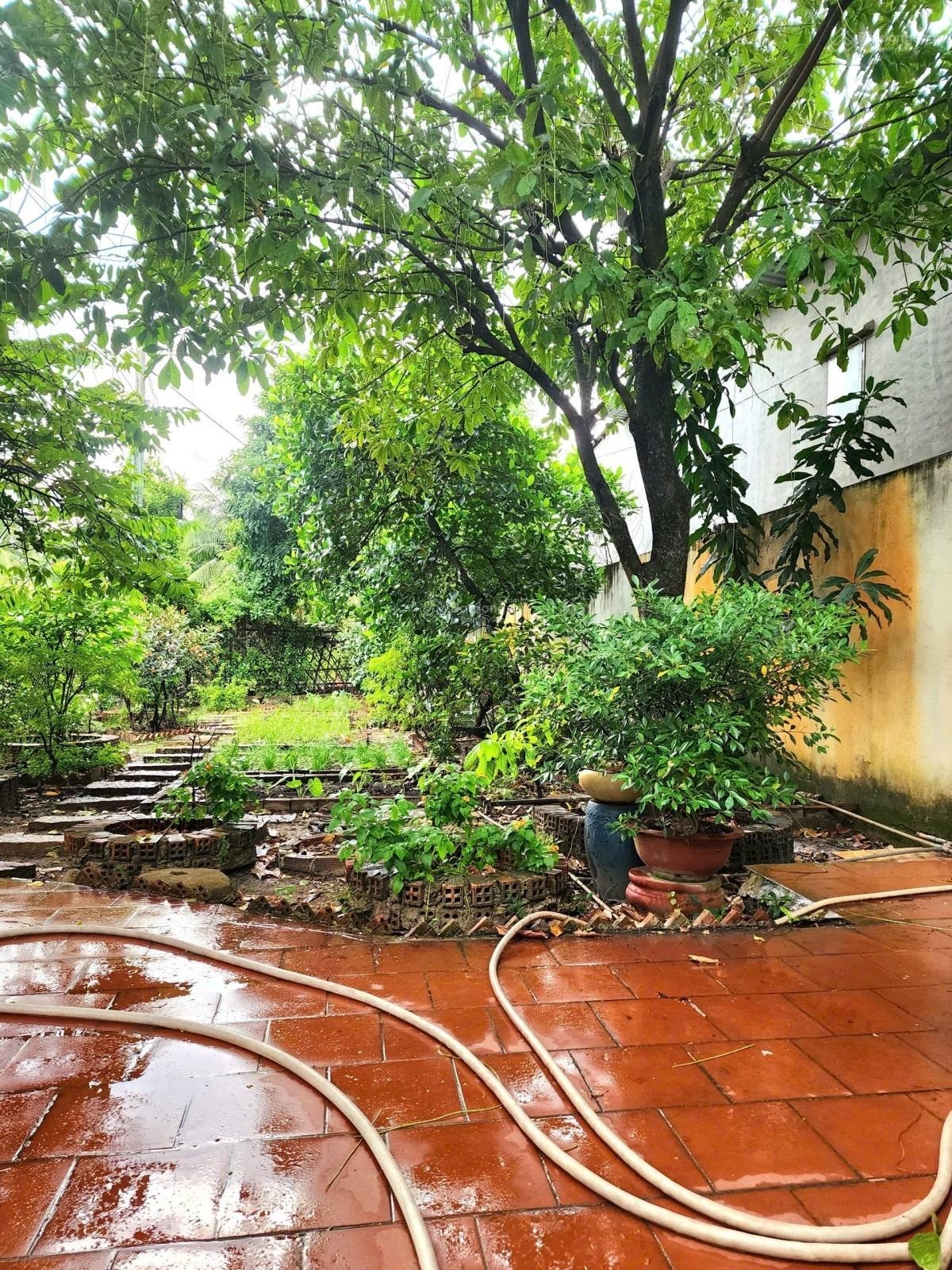 Villa sân vườn Osaka Thạnh Xuân 52 - 170m2, 3 tầng - 37 triệu/m²