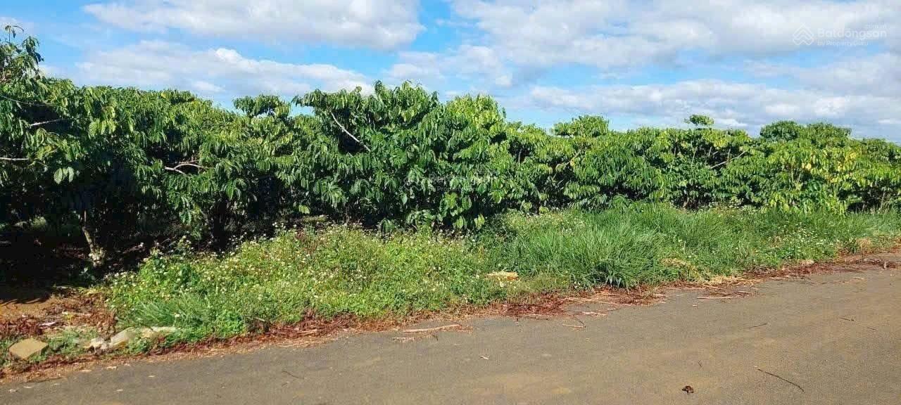 Cần bán nhanh lô Đất tại Xã Hoà Ninh, Di Linh, Lâm Đồng