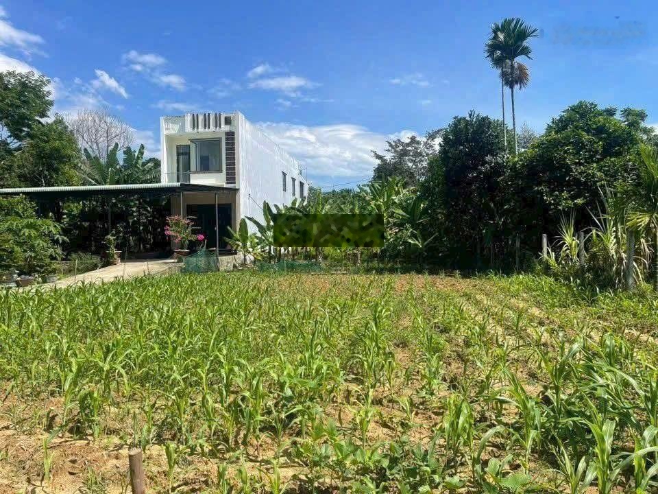 Đất view sông 1000m2 có 700m2 đất ở xã hòa nhơn.