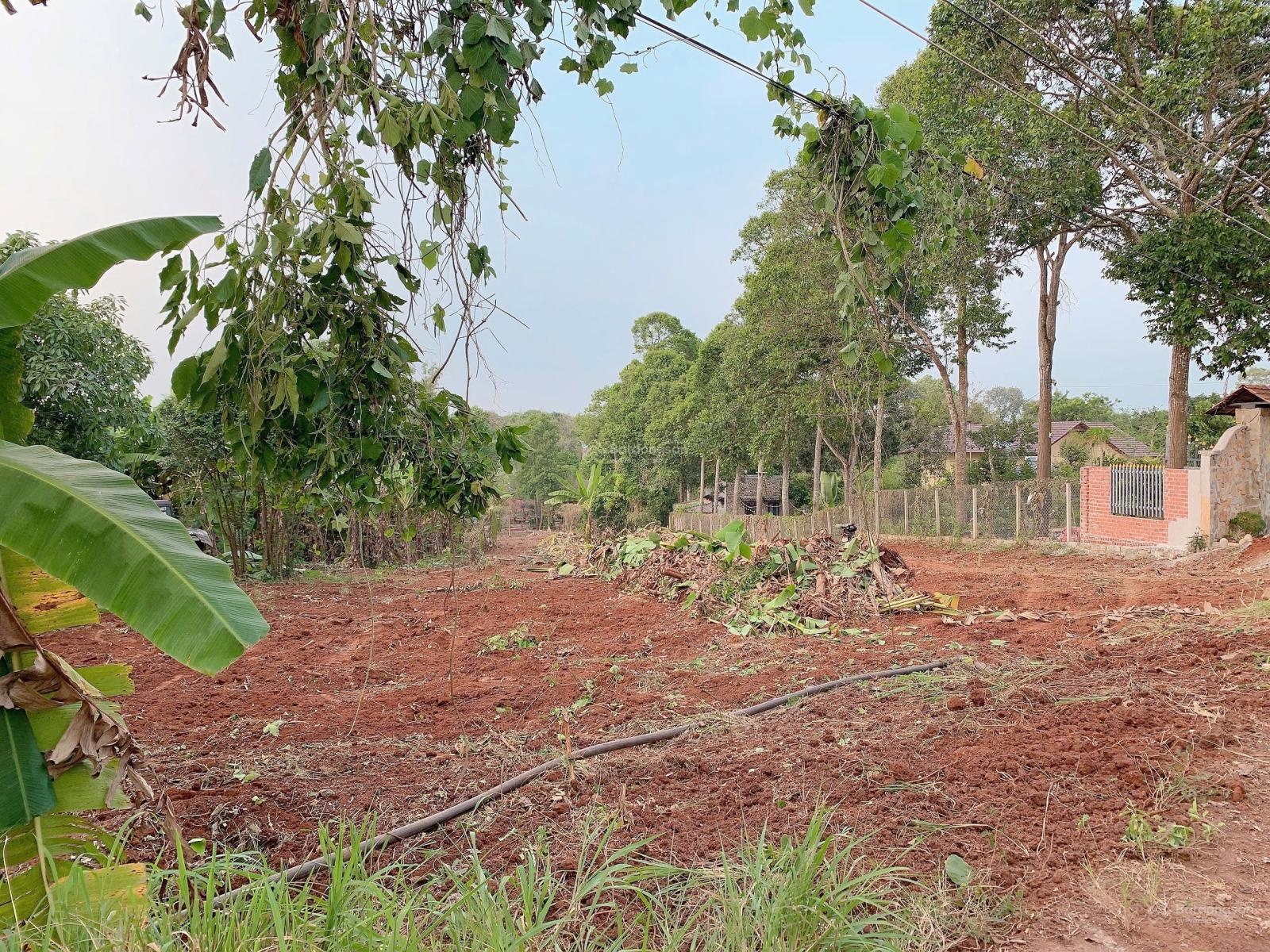 Bán Khoảng 4 sào 5 (4520m2) đất xã Láng Lớn, huyện Châu Đức, BRVT. Giá 4 tỷ 950tr.