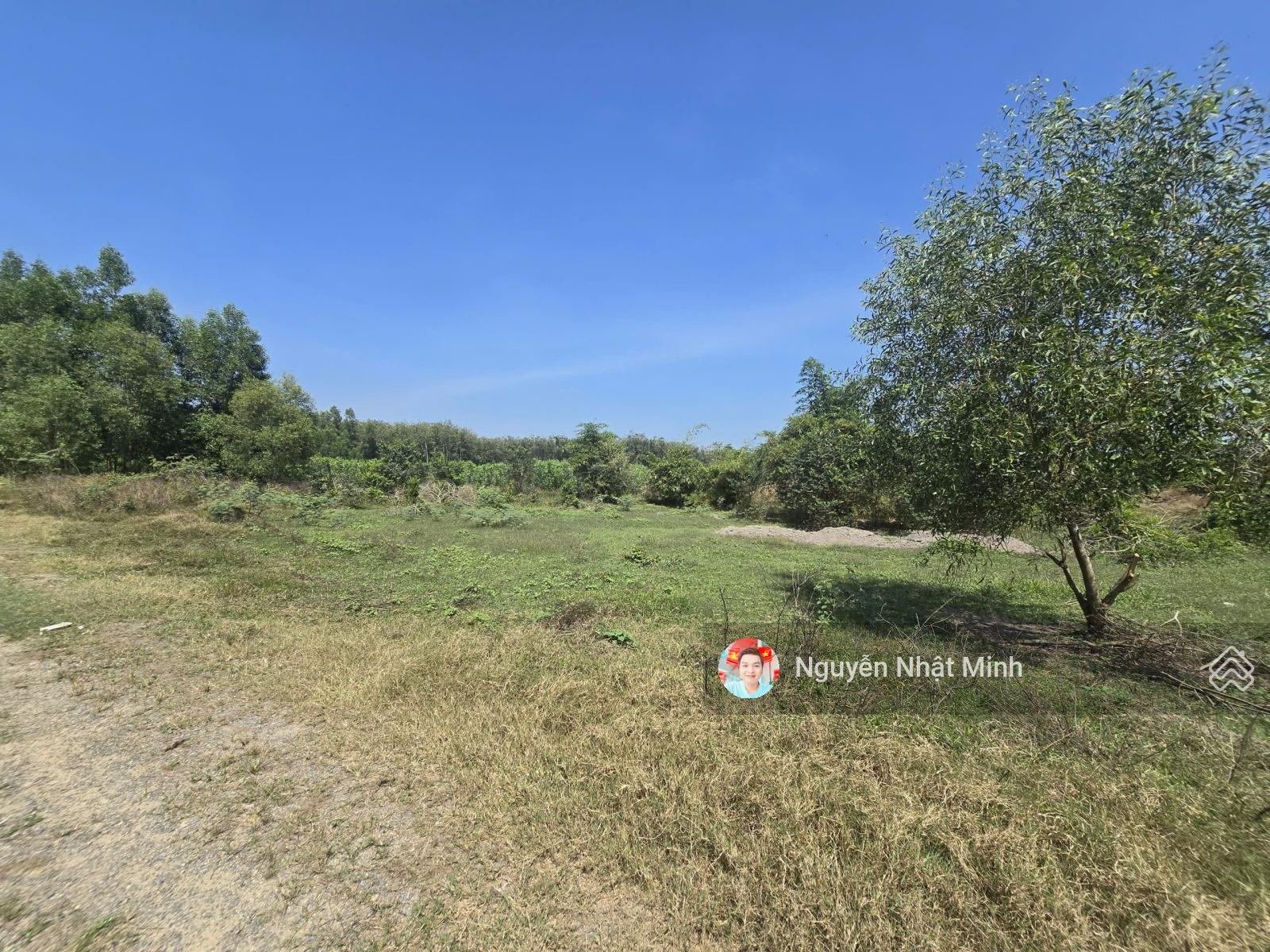 Bán 1.4ha đất - 300m2 thổ cư - 103m mặt tiền đường xe hơi !