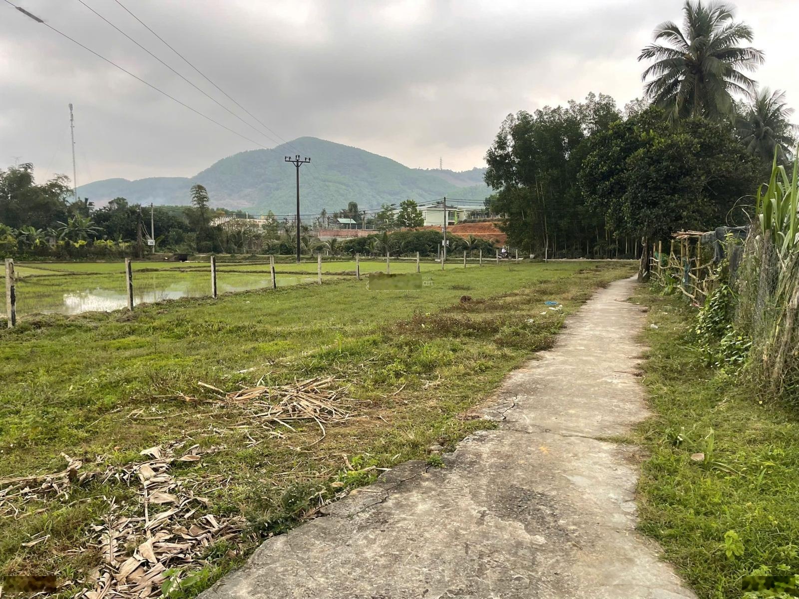 Đất xây nhà vườn view cánh đồng, 1700m2 có 1100m2 đất ở trên hòa ninh.