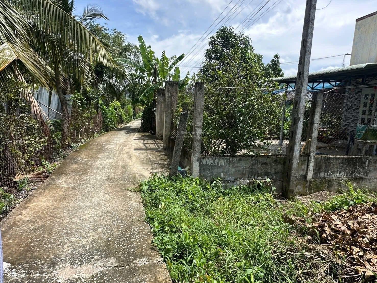 Cần bán đất cách Bạch thị Năm 50m (Quê mỹ thạnh - Tân Trụ):