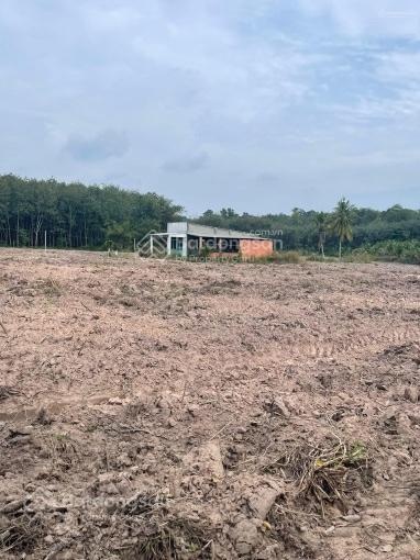 Bán đất tại Minh Thạnh, 15 tỷ, 10291 m2, hàng hiếm giá tốt