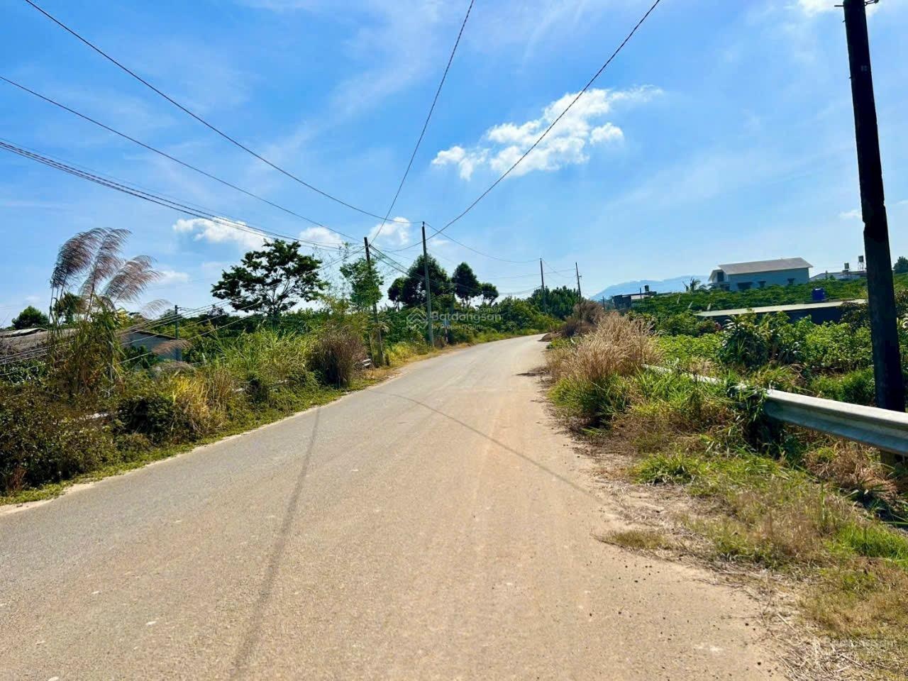 Chủ kẹt bán gấp lô siêu đẹp tại Xã Hoà Ninh, Di Linh, Lâm Đồng giá 2,32 tỷ